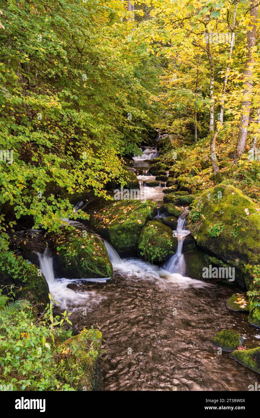 Die Triberger Wasserfälle im Schwarzwald, Schwarzwald, Deutschland im Herbst Stockfoto