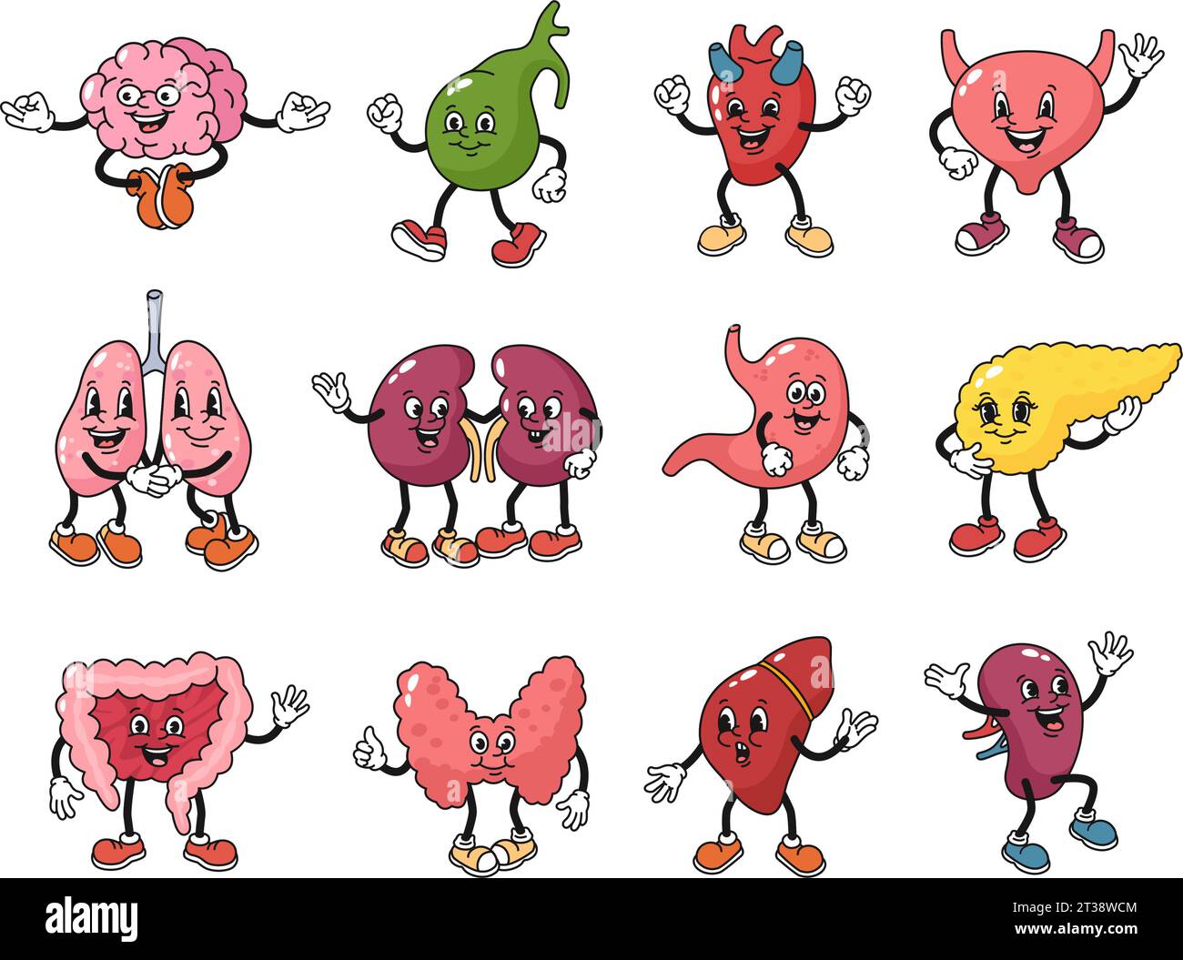 Zeichentrickorgeln Charaktere. Gesundheit Maskottchen für menschliche Körper innere Teile, Anatomie Vektor Illustration Set Stock Vektor