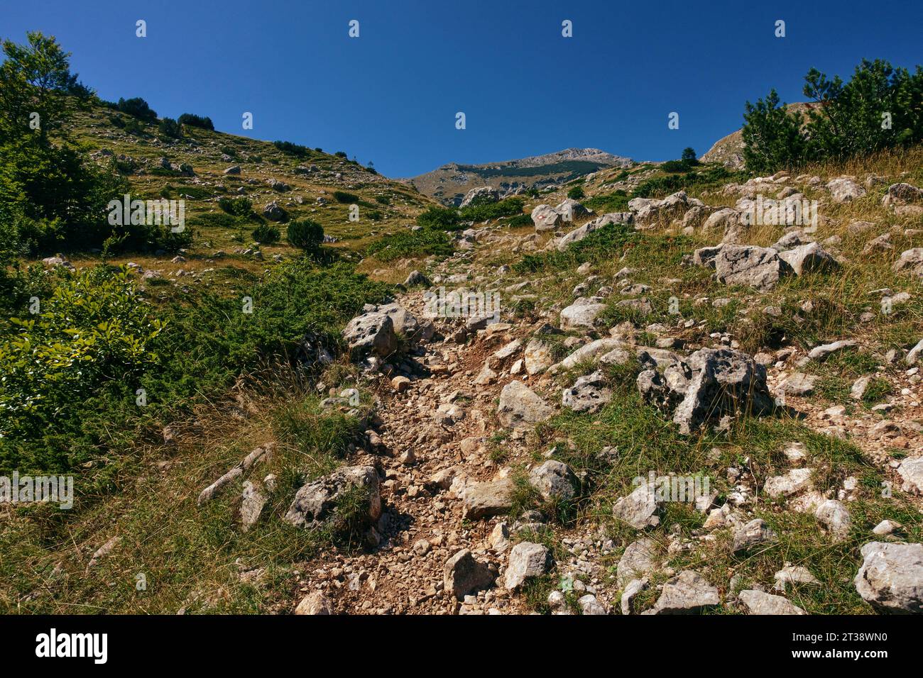 Steiler und rauer Steinpfad zum Trnovacki Durmitor Berg im Naturpark Piva (Montenegro) vom Sutjeska Nationalpark (Bosnien und Herzegowina) Stockfoto
