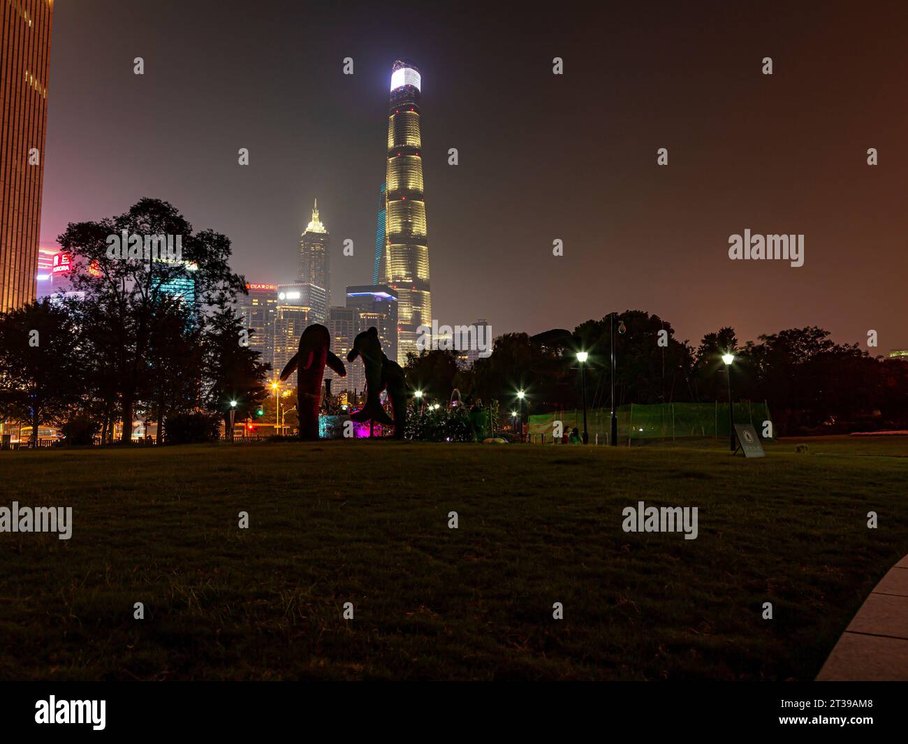 Blick vom Gucheng Park auf die Skyline von Pudong in Shanghai bei Nacht Stockfoto