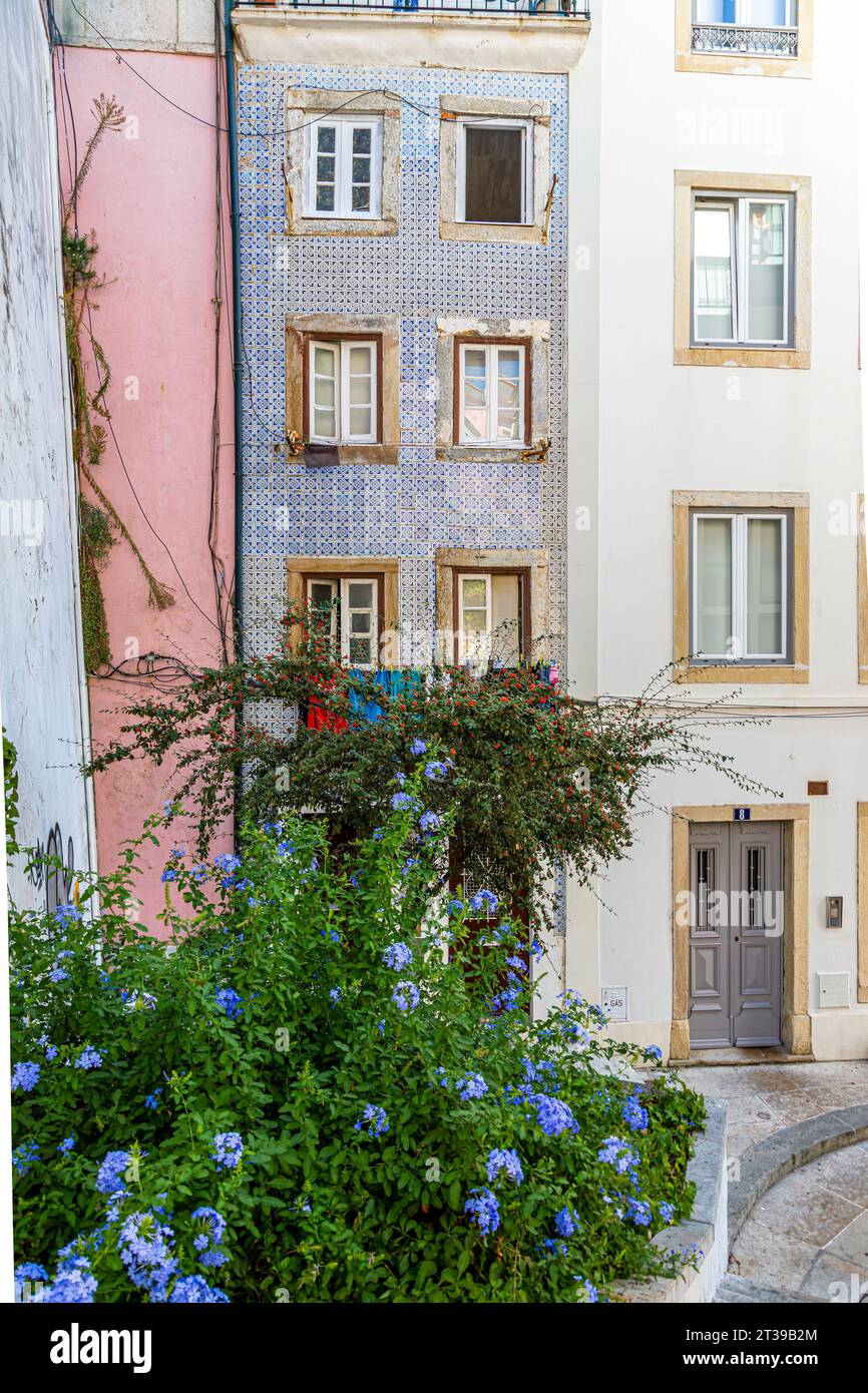 Alte Gebäudefassaden in der Altstadt von Lisboa in Portugal Stockfoto