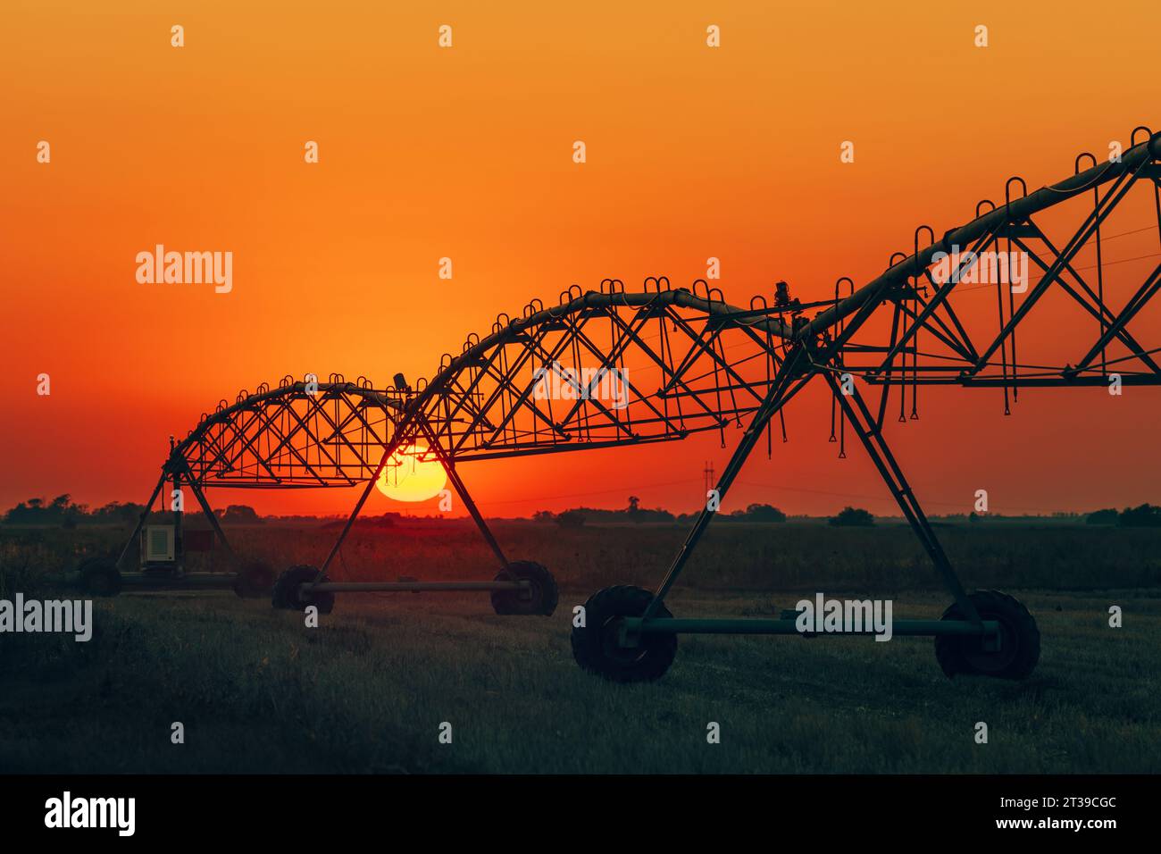Sommersonnenuntergang über landwirtschaftlichem Feld mit Silhouette-Bewässerungssystem, selektiver Fokus Stockfoto