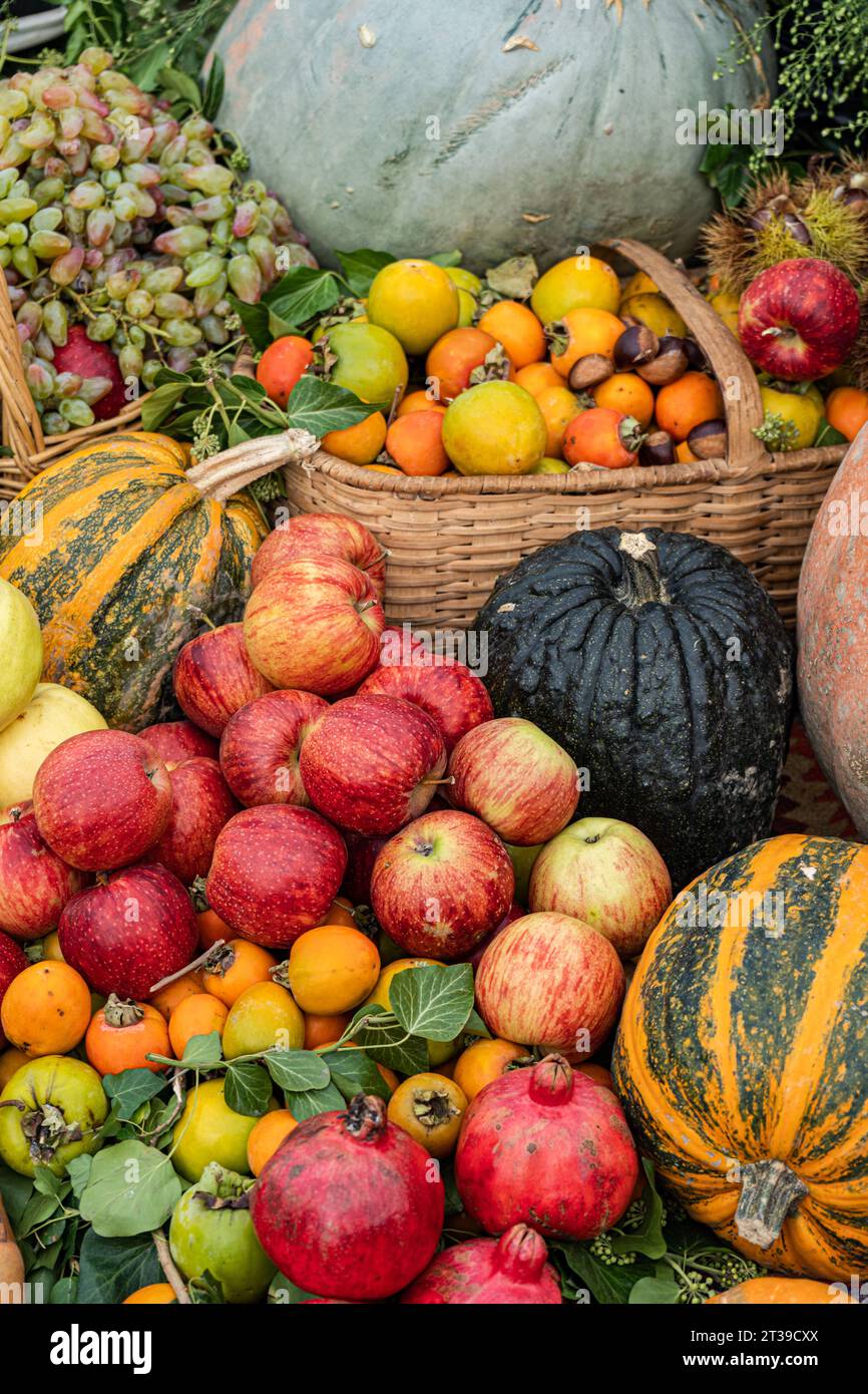 Auswahl an frischem Obst und Gemüse, in Körben angeordnet und auf einer grasbewachsenen Oberfläche, mit Äpfeln, Orangen, Granatäpfeln und verschiedenen Arten Stockfoto
