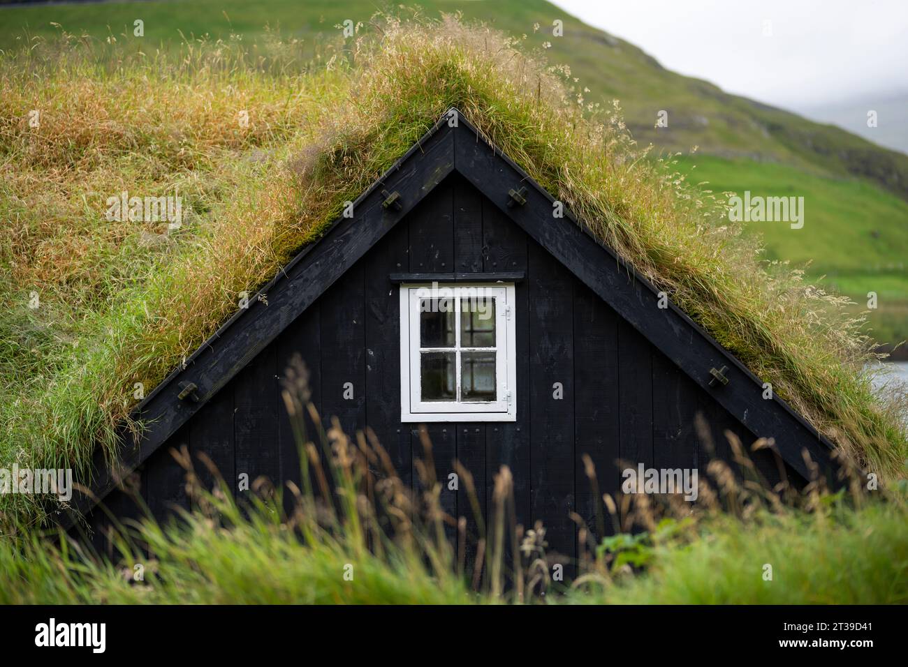 Äußere eines kleinen ländlichen Hauses mit Fenster in dichtem grünen Gras auf den Färöer Inseln Stockfoto