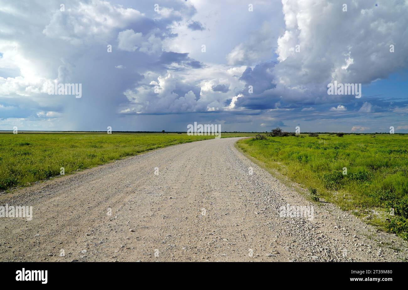 Offene Landschaft in einem Nationalpark, keine Gebäude oder Tiere Stockfoto