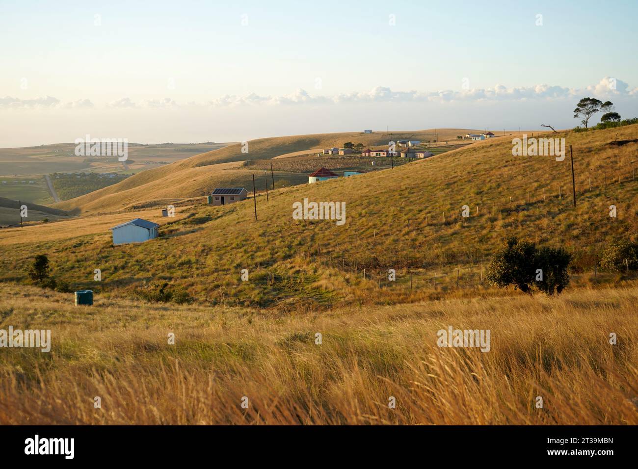 Traditionelle Landschaft des östlichen kap, Südafrika Stockfoto