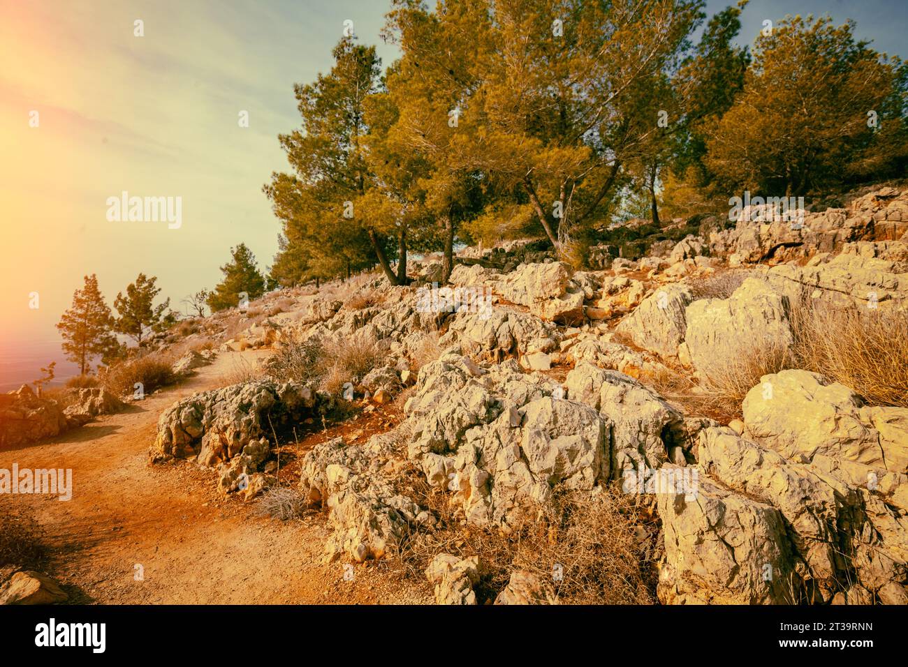 Steigung des Berges im Herbst, NiederGaliläa, Israel Stockfoto