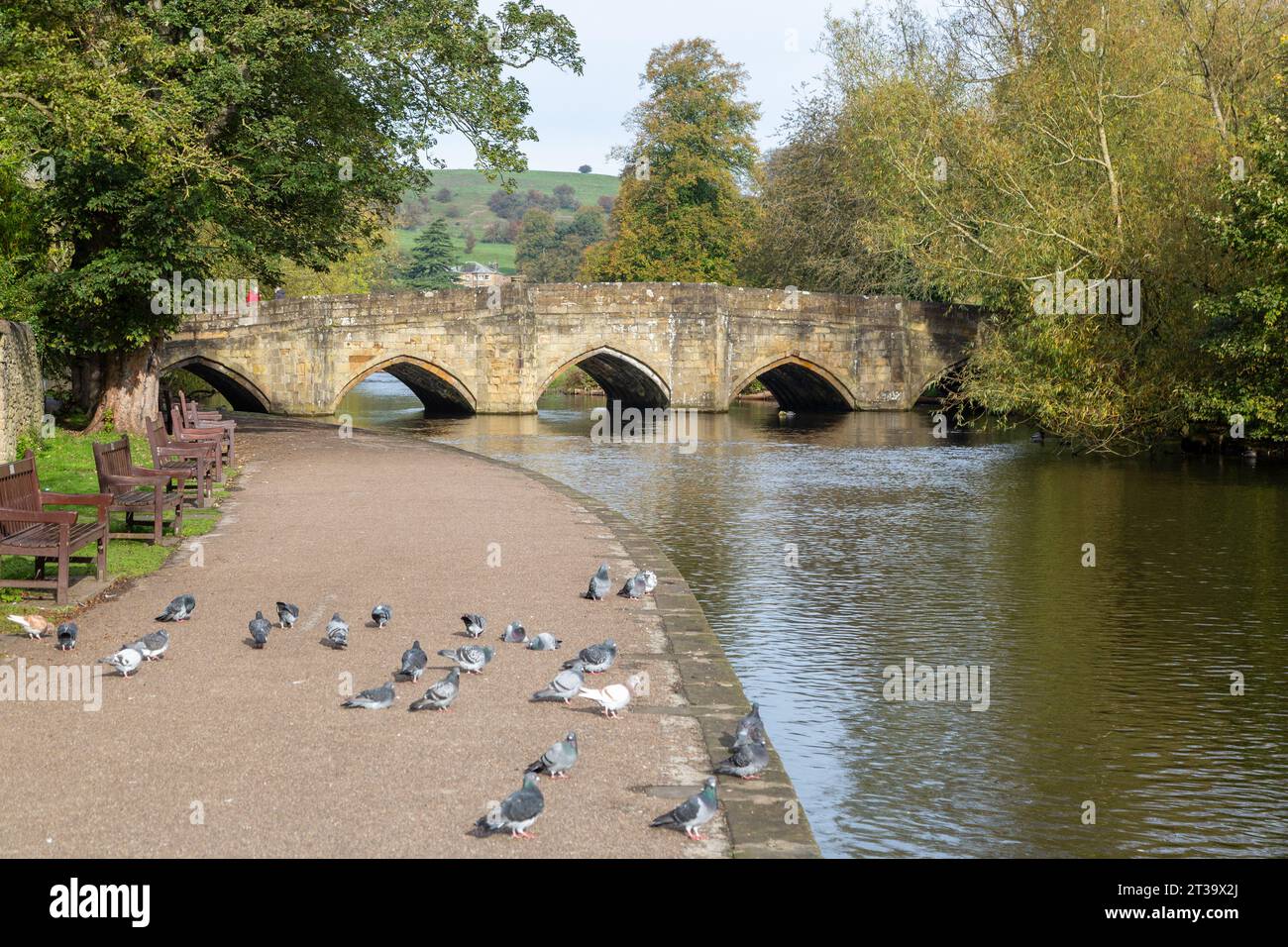 Bakewell Bridge eine Steinbogenbrücke über den Fluss Wye, Bakewell, Derbyshire, England Stockfoto