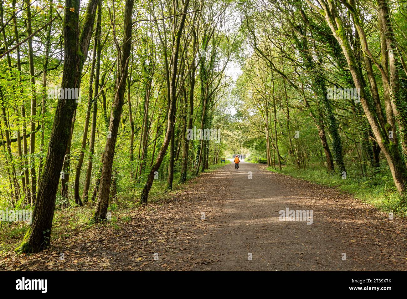 Der Monsal Trail in der Nähe von Buxton, Derbyshire Stockfoto