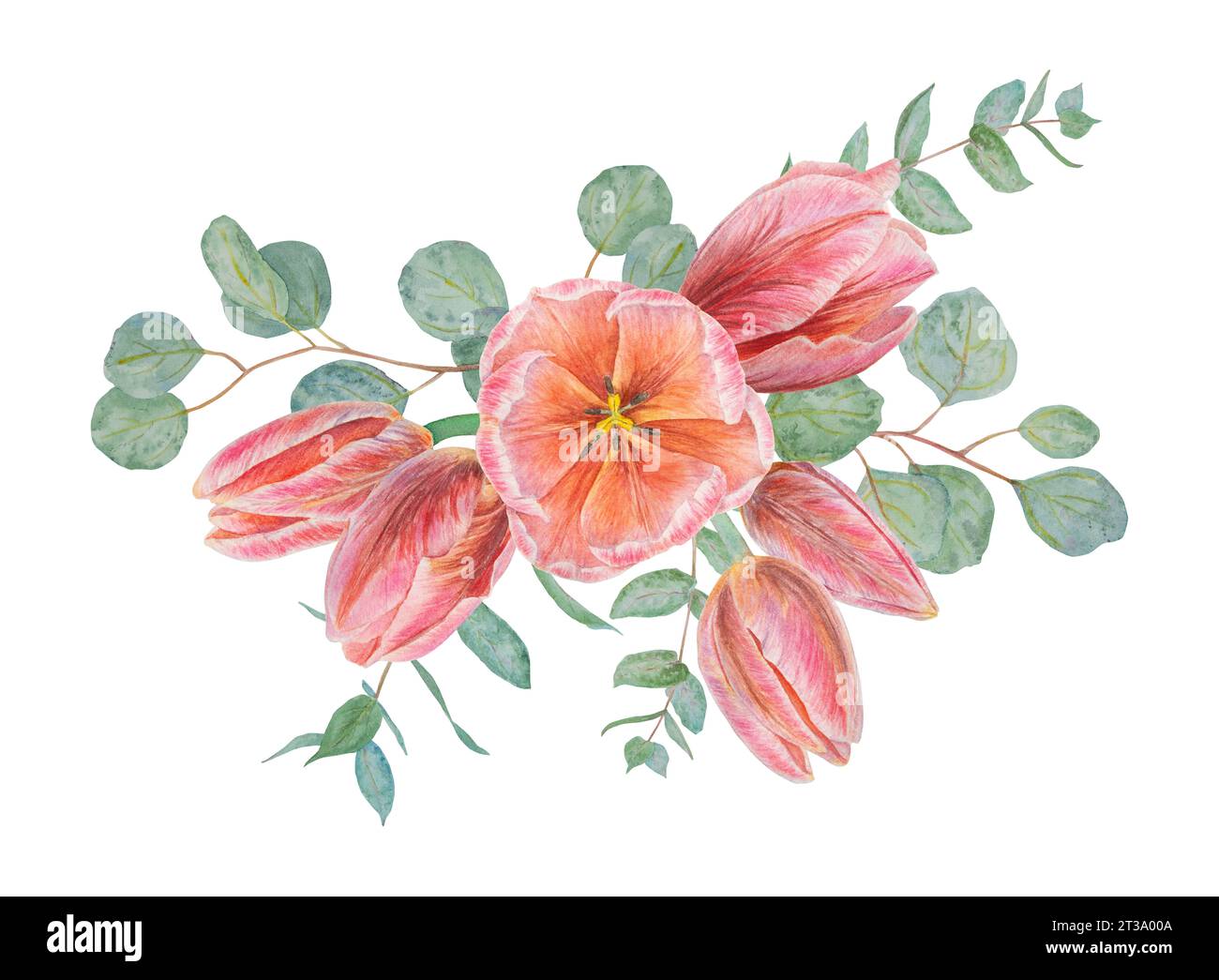 Aquarell handgezeichnet realistische botanische Illustration des Blumenstraußes mit rosa Tulpenblüten und Eukalyptuszweigen für Ihr Design, Hochzeitsdruck Stockfoto