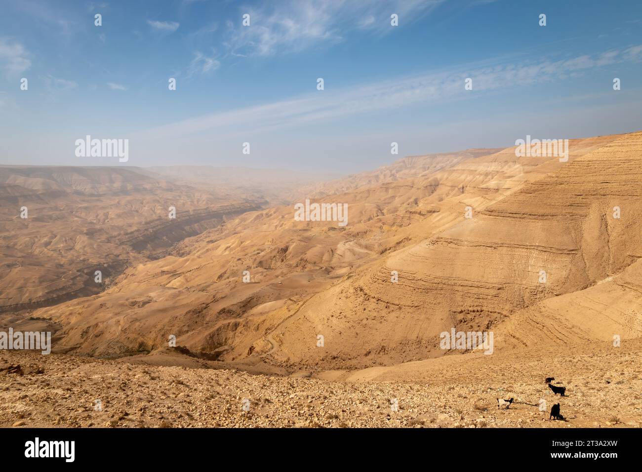 Malerischer Blick auf den Mujib Canyon, Jordanien vom Moujib Panorama Aussichtspunkt vor blauem Himmel mit Wolken Stockfoto