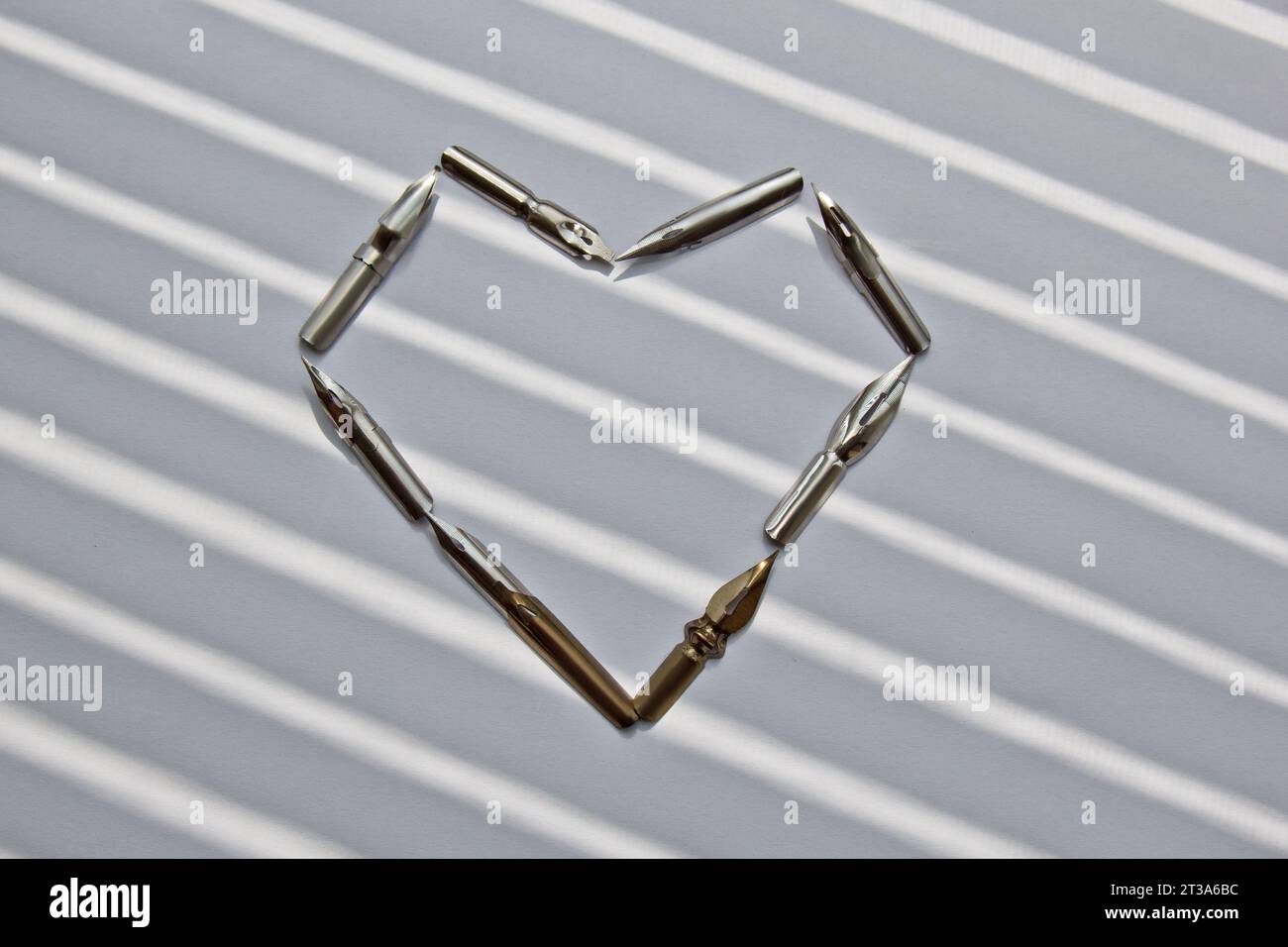 Metallspitzen für den Tintenstift auf weißem Hintergrund bei Sonneneinstrahlung. Schreibwaren auf weißem Schreibtisch, Nahansicht von oben. Rechtschreibunterricht und Caligraphie-Übungen. Stockfoto