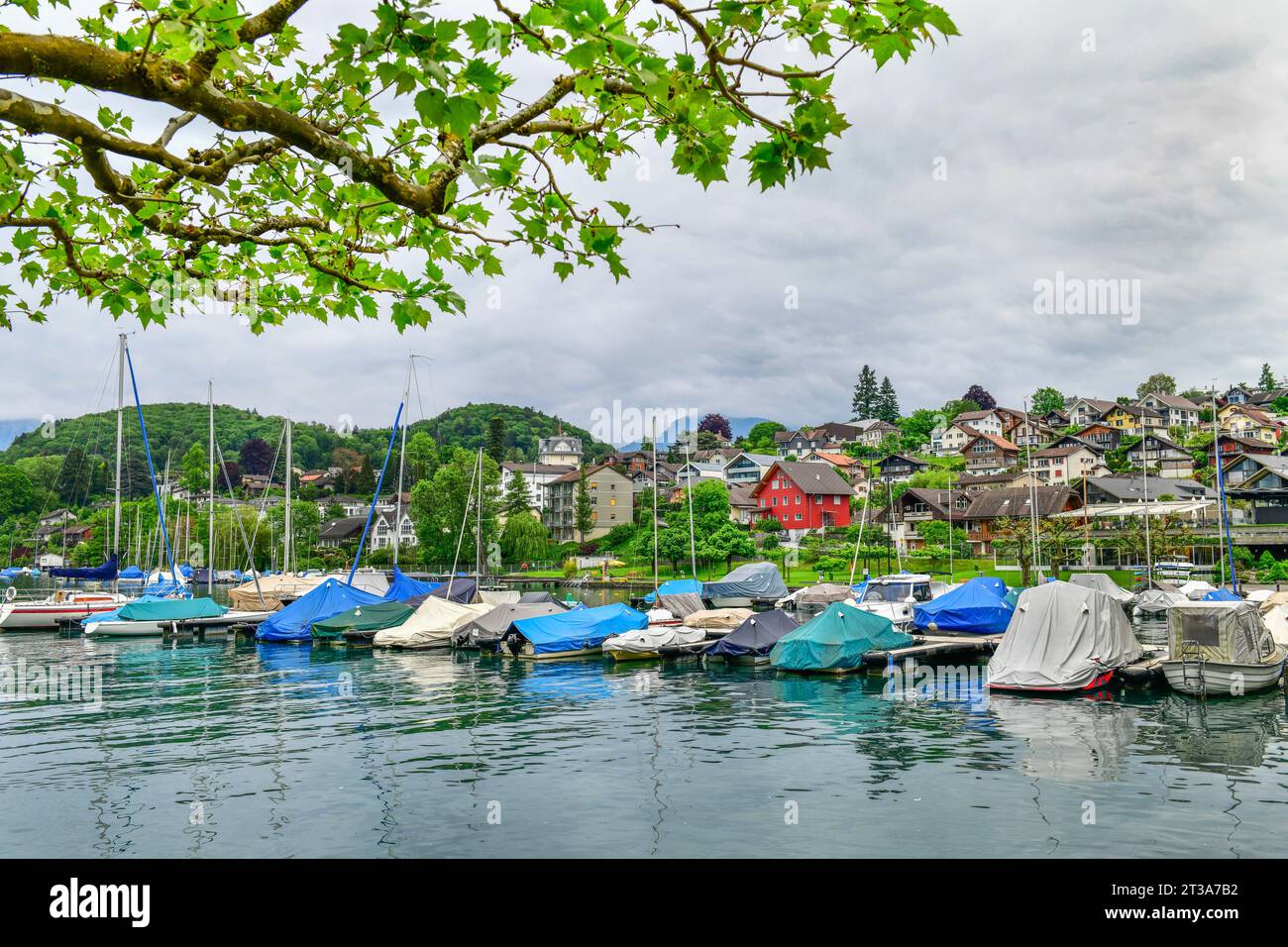 Wunderschöne Hafenstadt Spiez ist eine kleine Stadt am Thunersee. An der Südküste gelegen, nur 18 km von Interlaken entfernt. Stockfoto