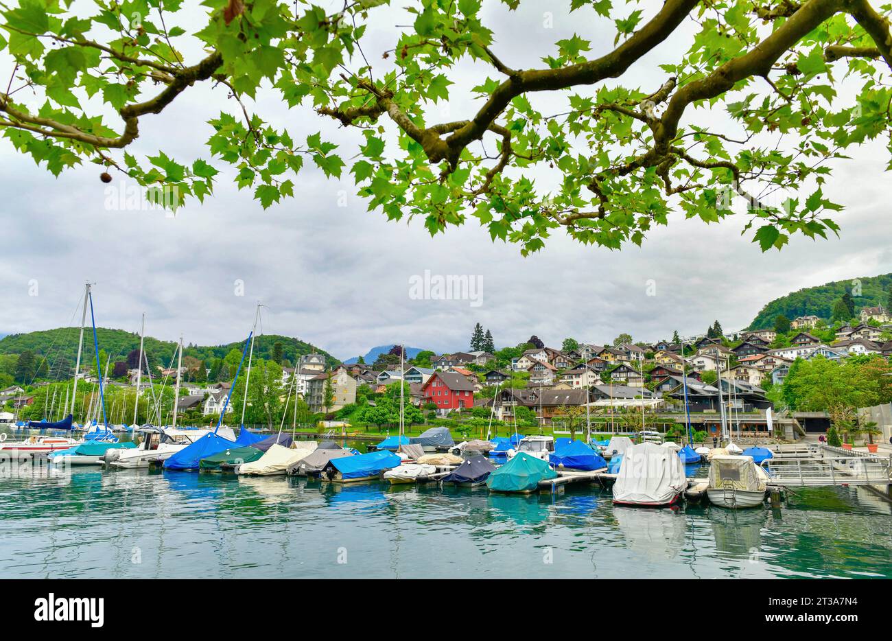 Wunderschöne Hafenstadt Spiez ist eine kleine Stadt am Thunersee. An der Südküste gelegen, nur 18 km von Interlaken entfernt. Stockfoto