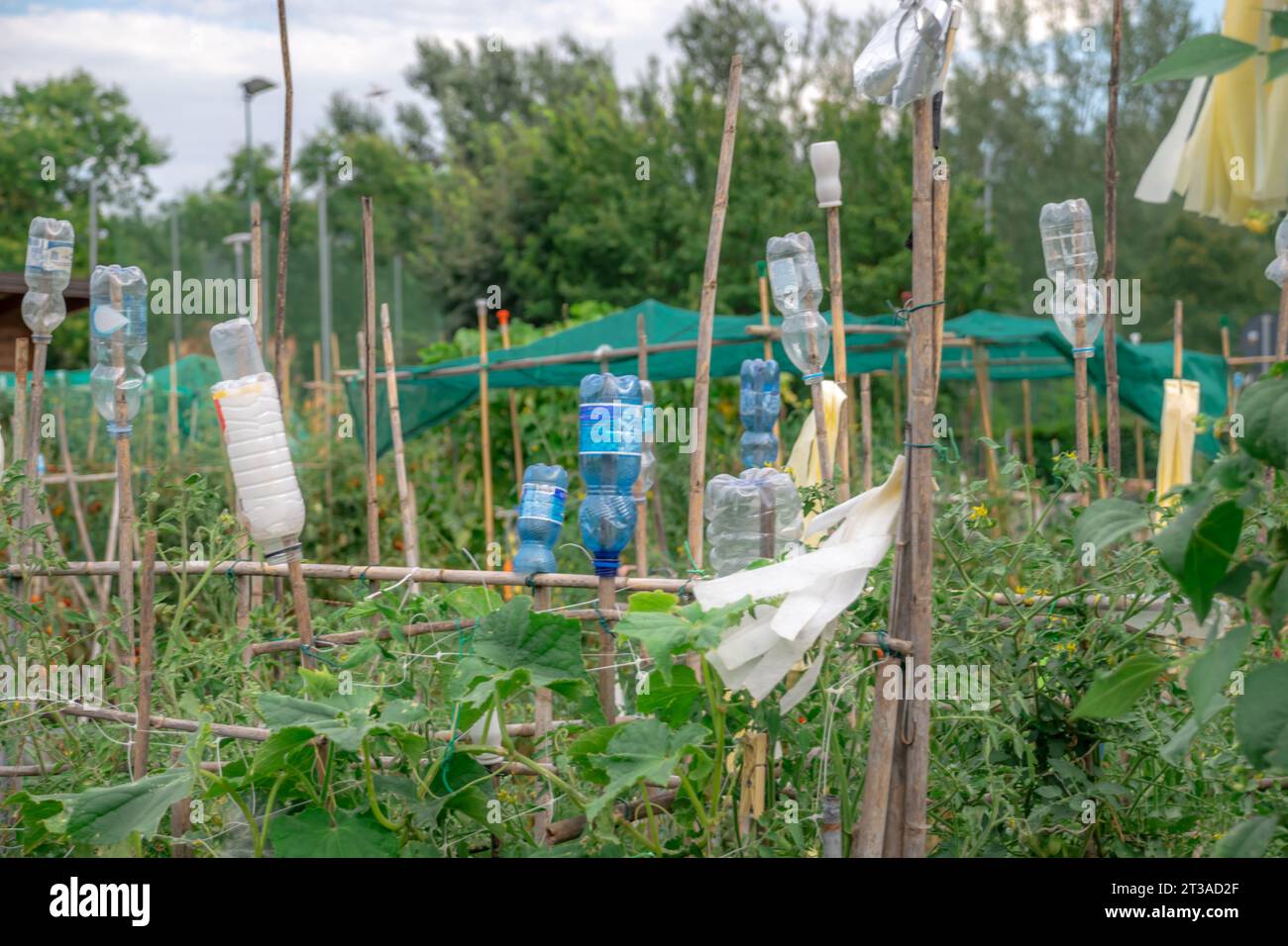 Plastikflaschen als Ideen für Recycling und ökologische Erziehung im häuslichen Leben Stockfoto