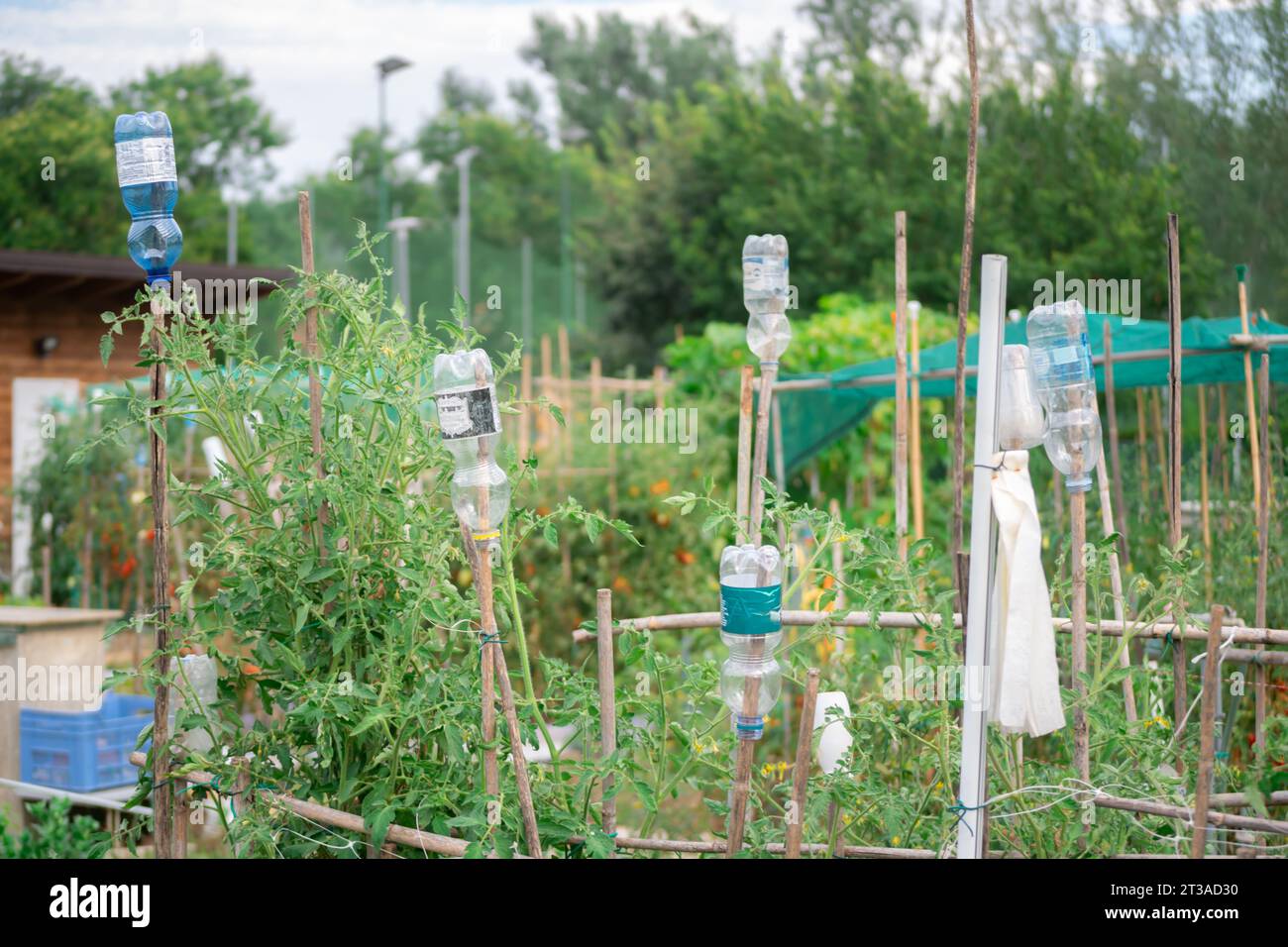 Plastikflaschen als Ideen für Recycling und ökologische Erziehung im häuslichen Leben Stockfoto