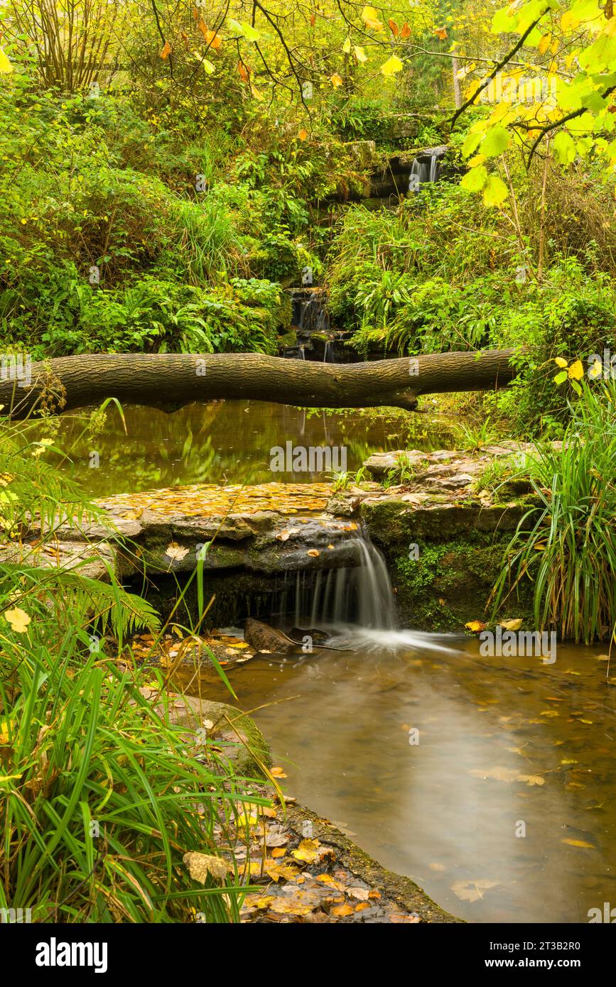 Ein kleiner Bach, der vom Abbots Pool, einem lokalen Naturschutzgebiet in Abbots Leigh, North Somerset, England, führt. Stockfoto