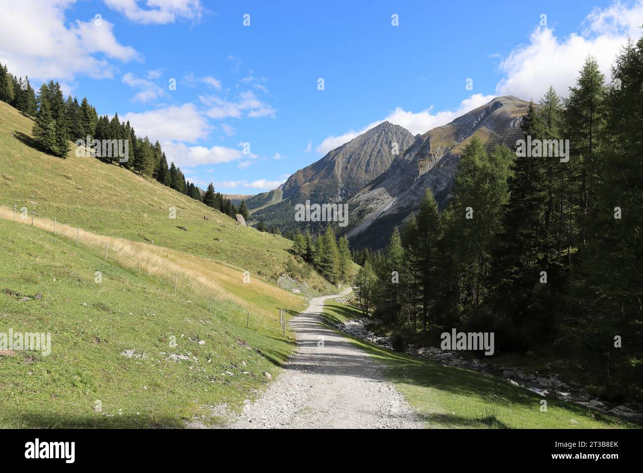 Schöner Wanderweg in der Nähe von Hintertux entlang eines kleinen Gebirgsbaches Stockfoto