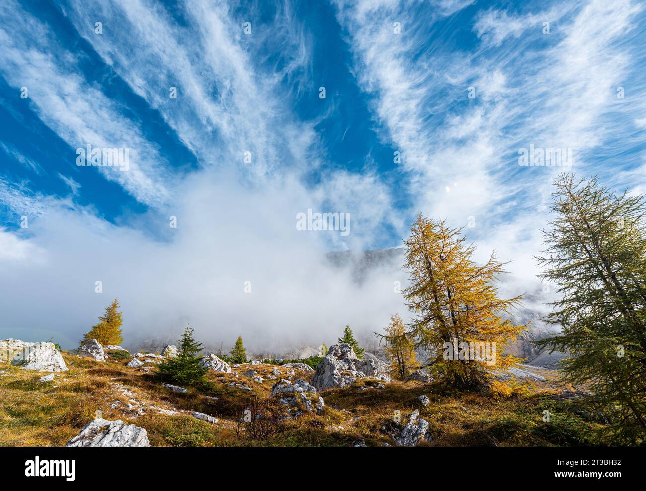 Wunderschöne Wolken über den Dolomitenbergen mit farbenfrohen Lärchen im Vordergrund an einem sonnigen Herbsttag. Stockfoto