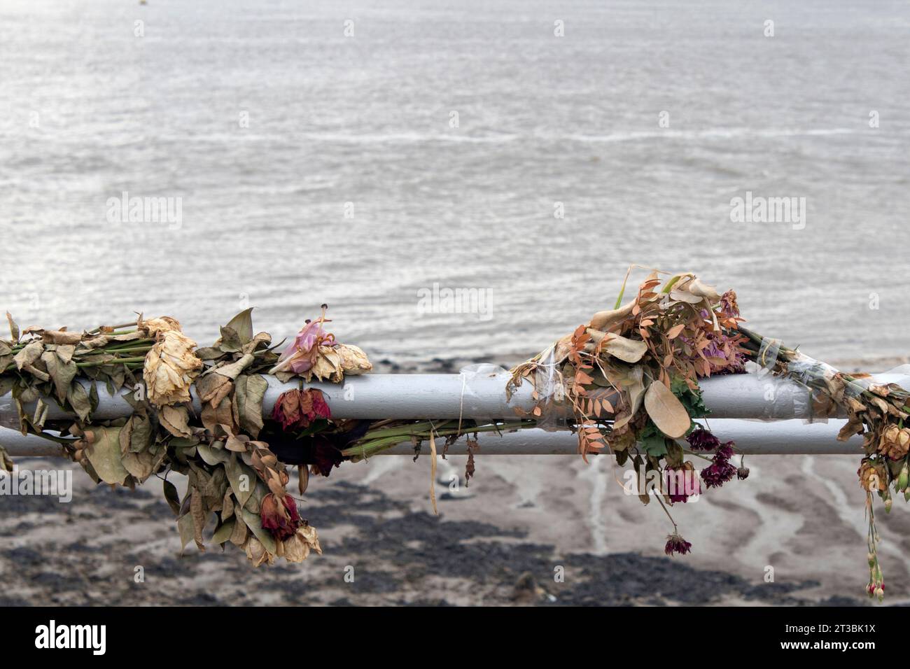 Tote und sterbende Blumen - ein Denkmal auf dem Geländer mit Blick auf die Mersey Liverpool England UK Stockfoto