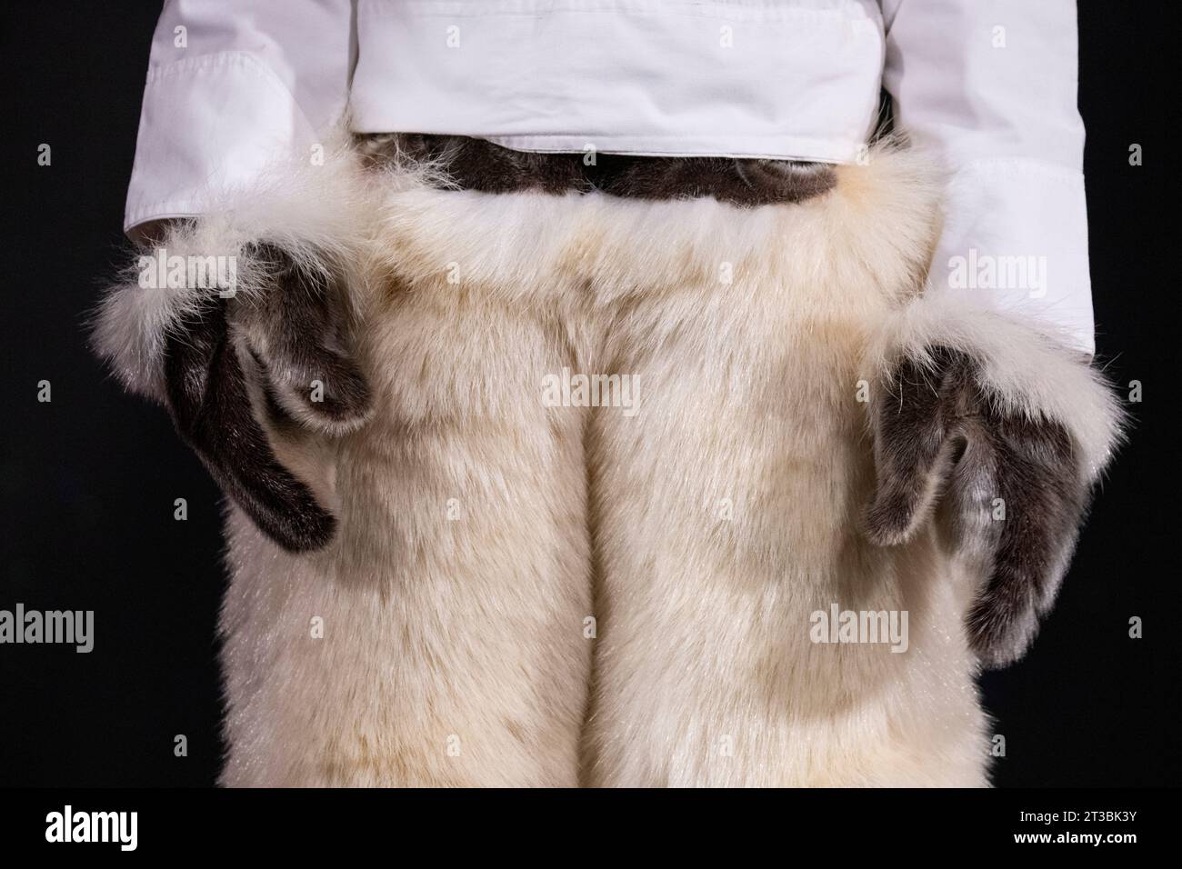 Grönland. Traditionelle männliche Hosen aus Eisbärenfell. Stockfoto