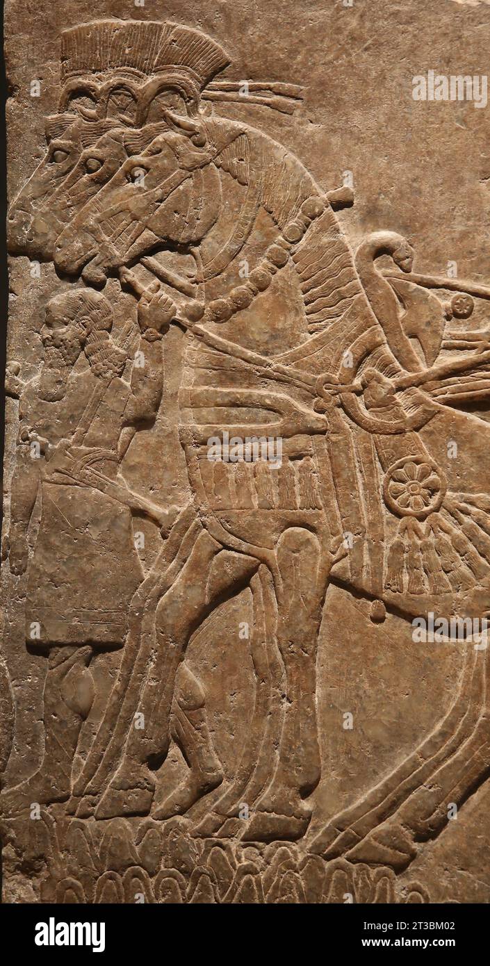 Mauerrelief des Nimrud-Palastes (Irak). Neo-Assyrisches Reich. 875-860 V. CHR. Alabaster. Der Monarch Ashurnasirpal II. In einem Wagen. Detaillierte Pferde. Expositionsdh Stockfoto