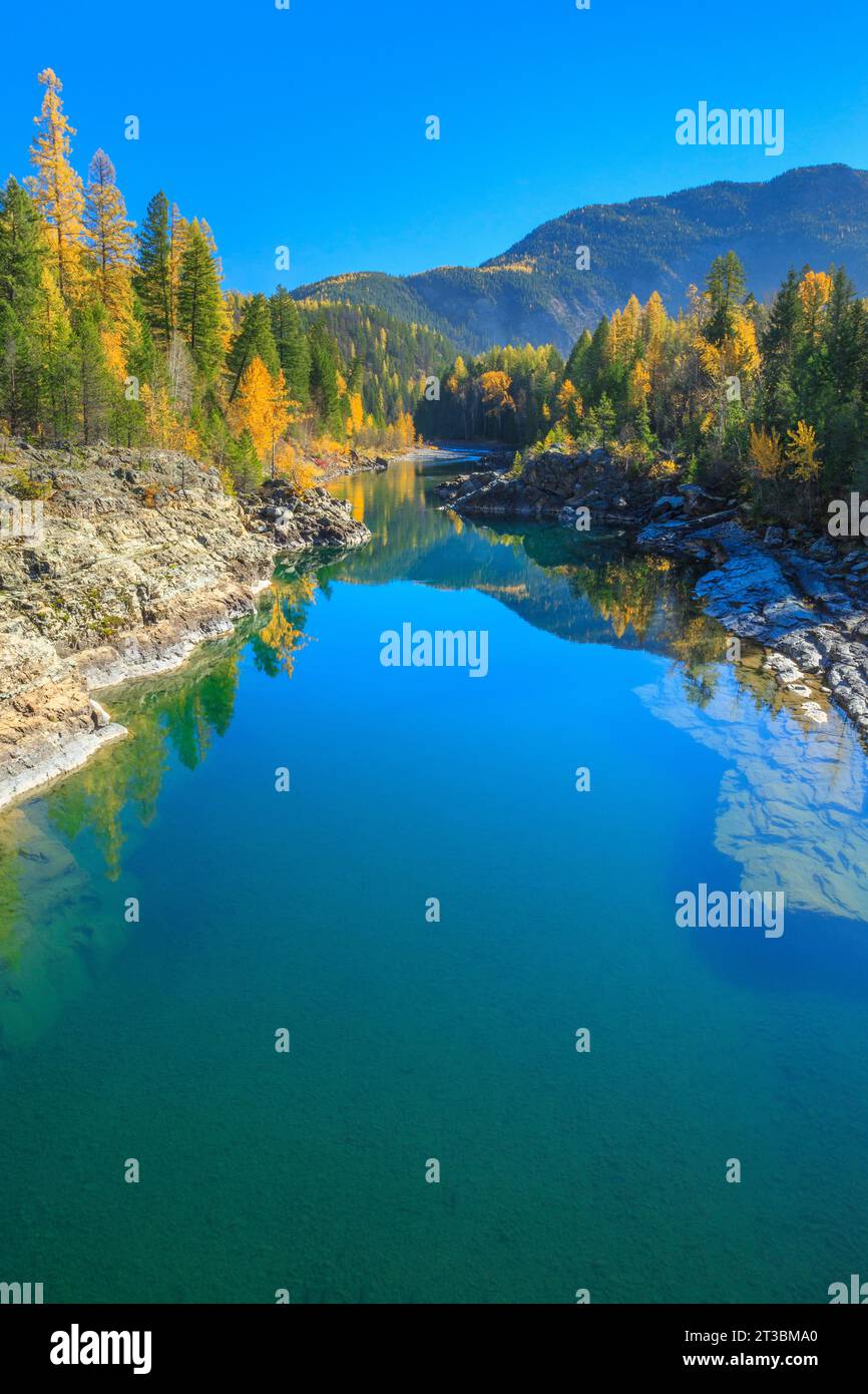 Mittlerer Fork Flathead River im Herbst entlang der südlichen Grenze des Gletscher-Nationalparks und oberhalb der alten belton Brücke in der Nähe des Westgletschers, montana Stockfoto