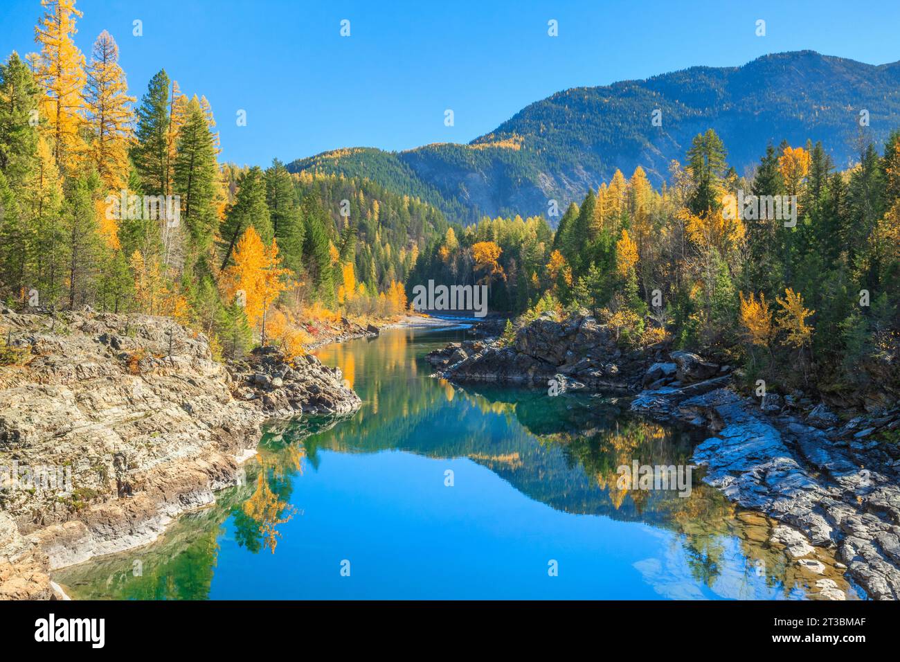 Mittlerer Fork Flathead River im Herbst entlang der südlichen Grenze des Gletscher-Nationalparks und oberhalb der alten belton Brücke in der Nähe des Westgletschers, montana Stockfoto