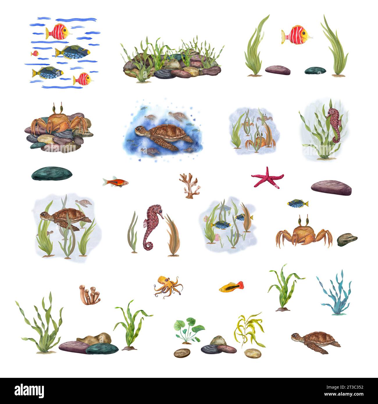 Meer gesetzt. Fische, Krabben, Tortilla, Tiere im Wasser. Unterwasserwelt. Steine, grünes Unkraut, Meerestiere. Aquarellabbildung Stockfoto