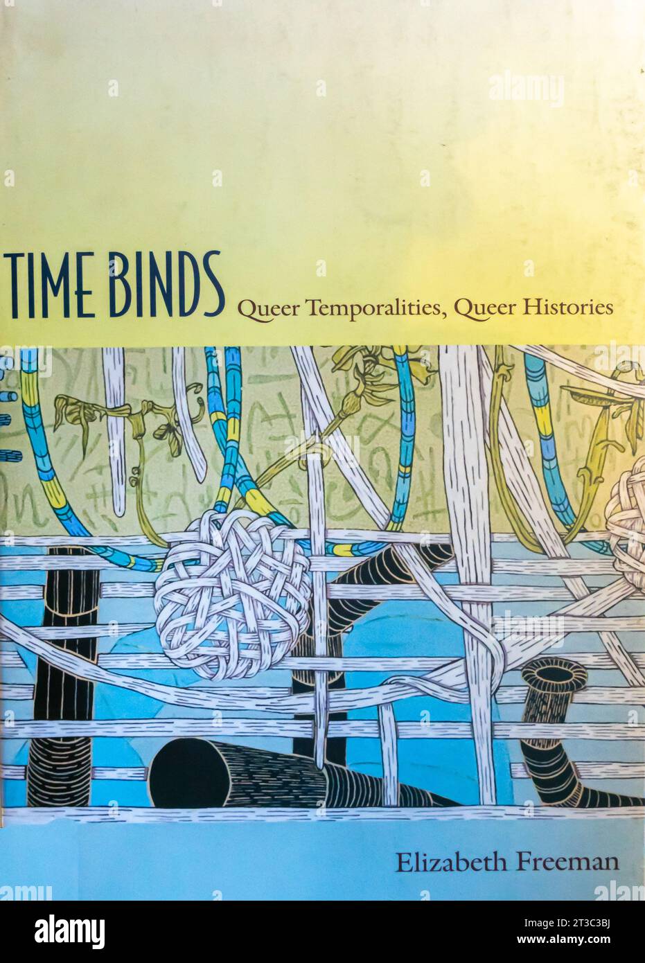Time Binds: Queer Temporalities, Queer Histories (Perverse Modernities: A Series herausgegeben von Jack Halberstam und Lisa Lowe) Taschenbuch – 2010 Stockfoto