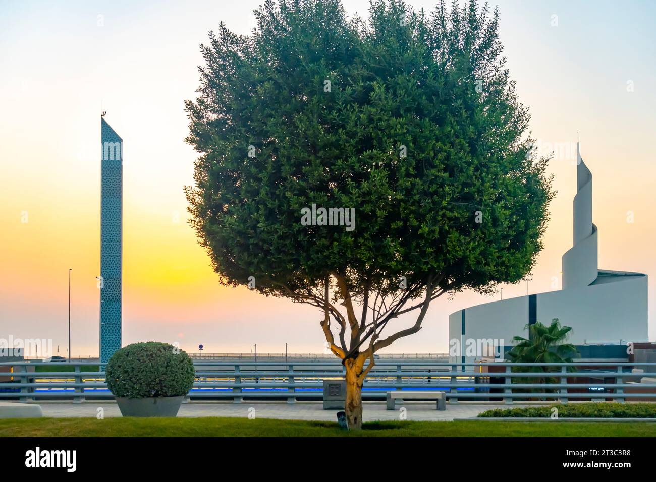 Ulmenbaum, Skyline von Bahrain, Four Seasons Bahrain Hotel Stockfoto