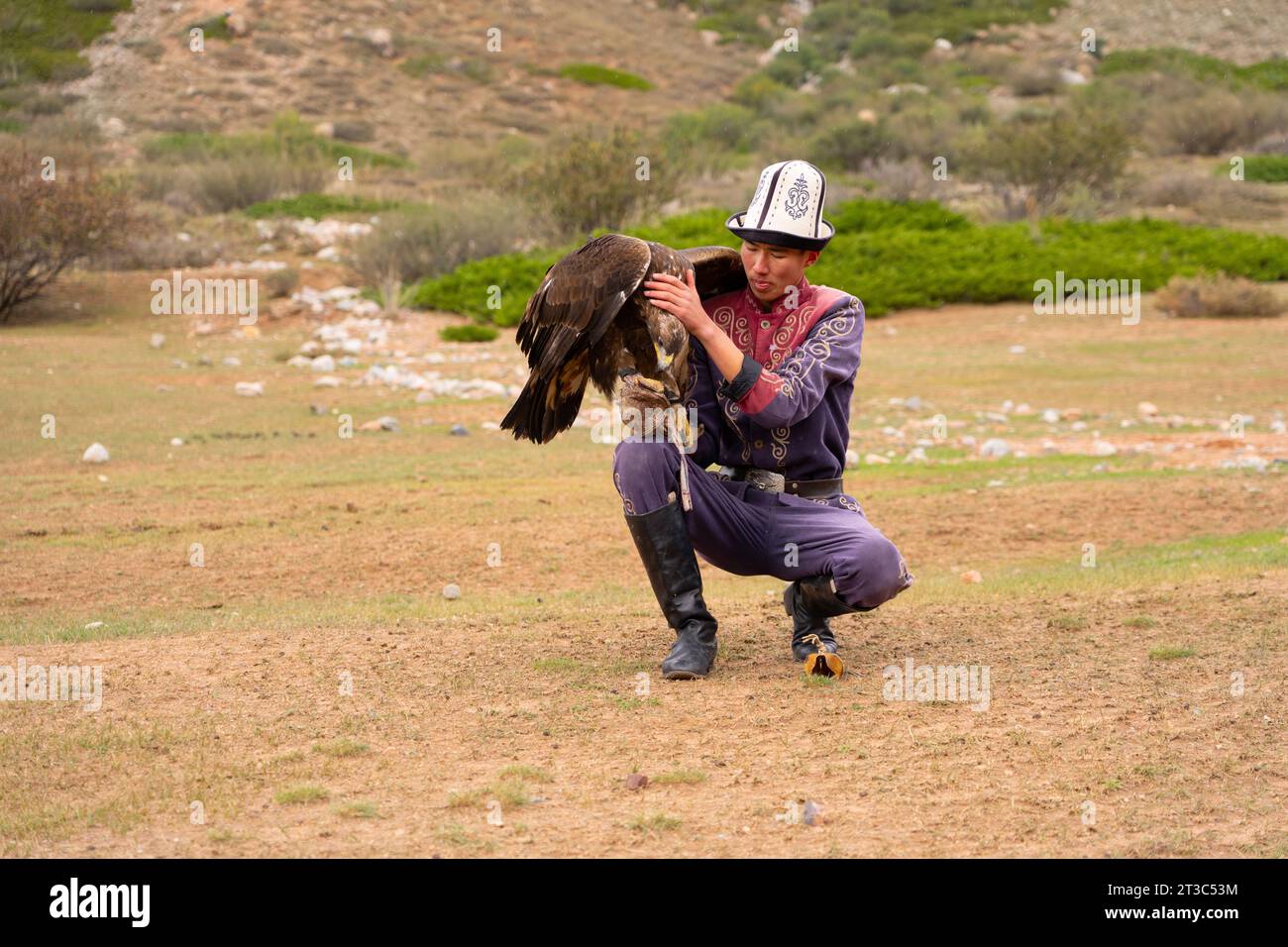 Kirgisischer Jäger mit ausgebildetem Goldenen Adler (Aquila chrysaetos), Song kol See, Naryn Region, Kirgisistan Stockfoto