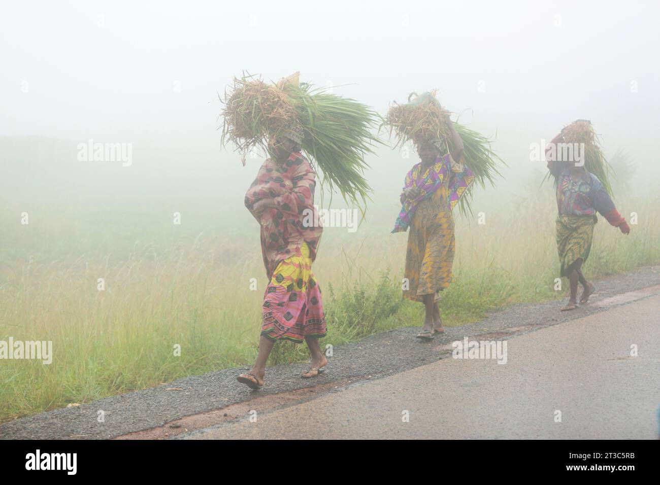 NGAs-Frauen, die während der Saison bei extremen Wetterbedingungen von ihren Farmen kommen. Pankshin, Plateau State, Nigeria. Stockfoto