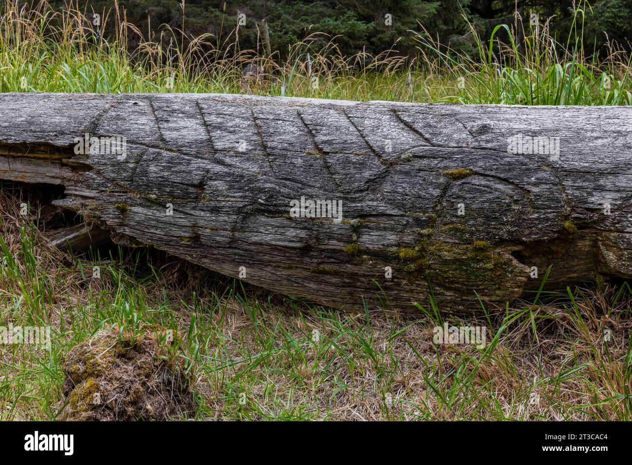 In die Erde aufgelöste Totempfahl im alten Dorf K'uuna Linagaay, alias Skedans, auf Louise Island, alias K'uuna Gwaay Yaay, Haid Stockfoto