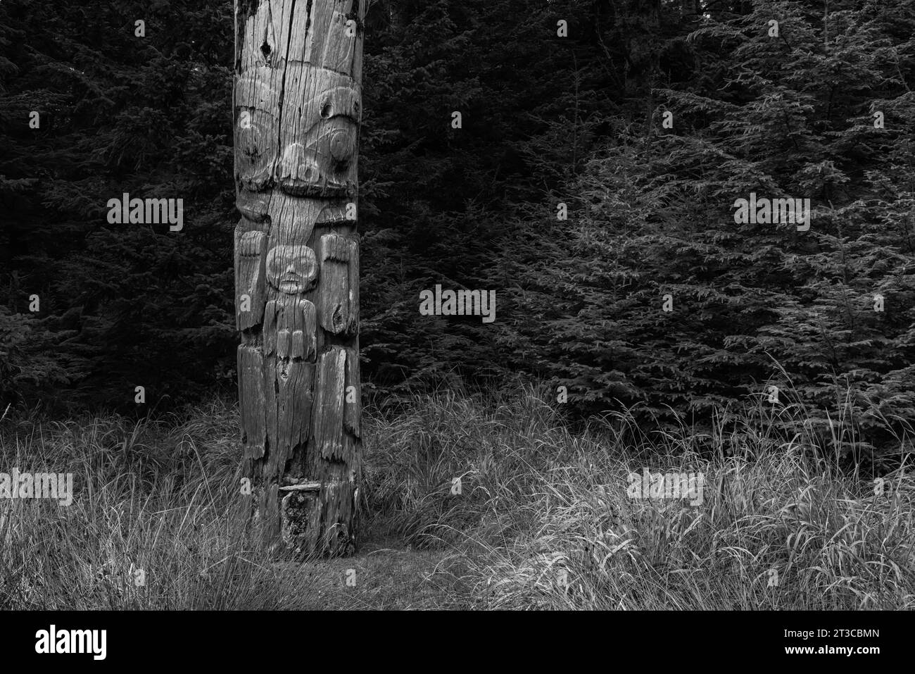 Totempfahl am UNESCO-Weltkulturerbe Sgang Gwaay Llnagaay, einem alten Dorf im Gwaii Haanas National Park Reserve, Haida Gwaii, British Col Stockfoto