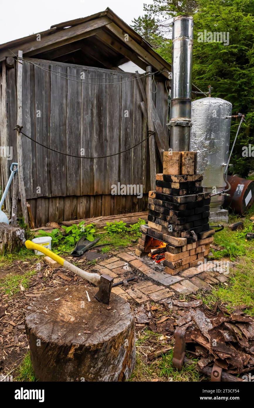 Rustikales, holzbefeuertes Duschgebäude im Rose Harbour Guesthouse an der alten Rose Harbour Waling Station im Gwaii Haanas National Park Reserve, Haida GWA Stockfoto