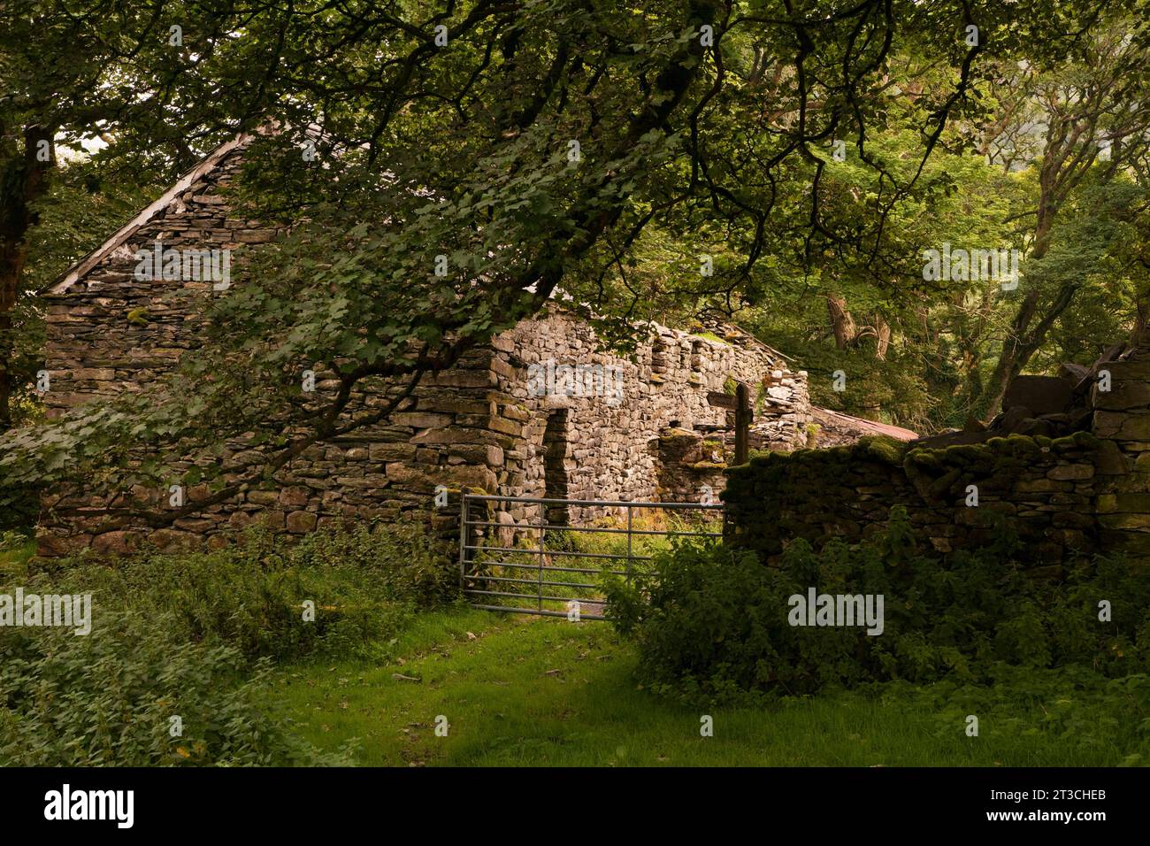 Eine Ruine im verlassenen Dorf Bretherdale Head in Bretherdale, Cumbria, Großbritannien Stockfoto