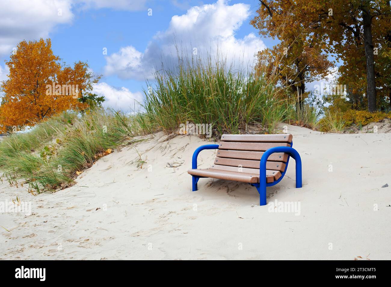 Leere Bank in Sand getaucht mit Strandgras und Herbstbäumen Stockfoto