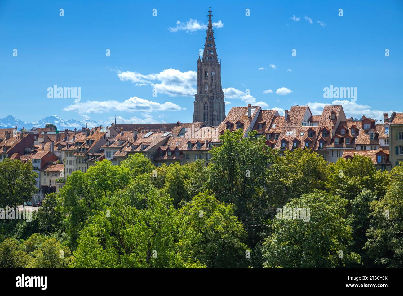 Altstadt rot poliert mit Dom, Bern, Schweiz Stockfoto