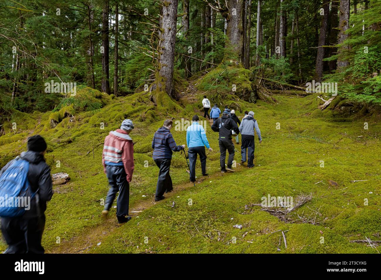 Gruppe geführt von Watchman im alten Haida-Dorf T'aanuu Linagaay, Gwaii Haanas National Park Reserve, Haida Gwaii, British Columbia, Kanada [ Stockfoto