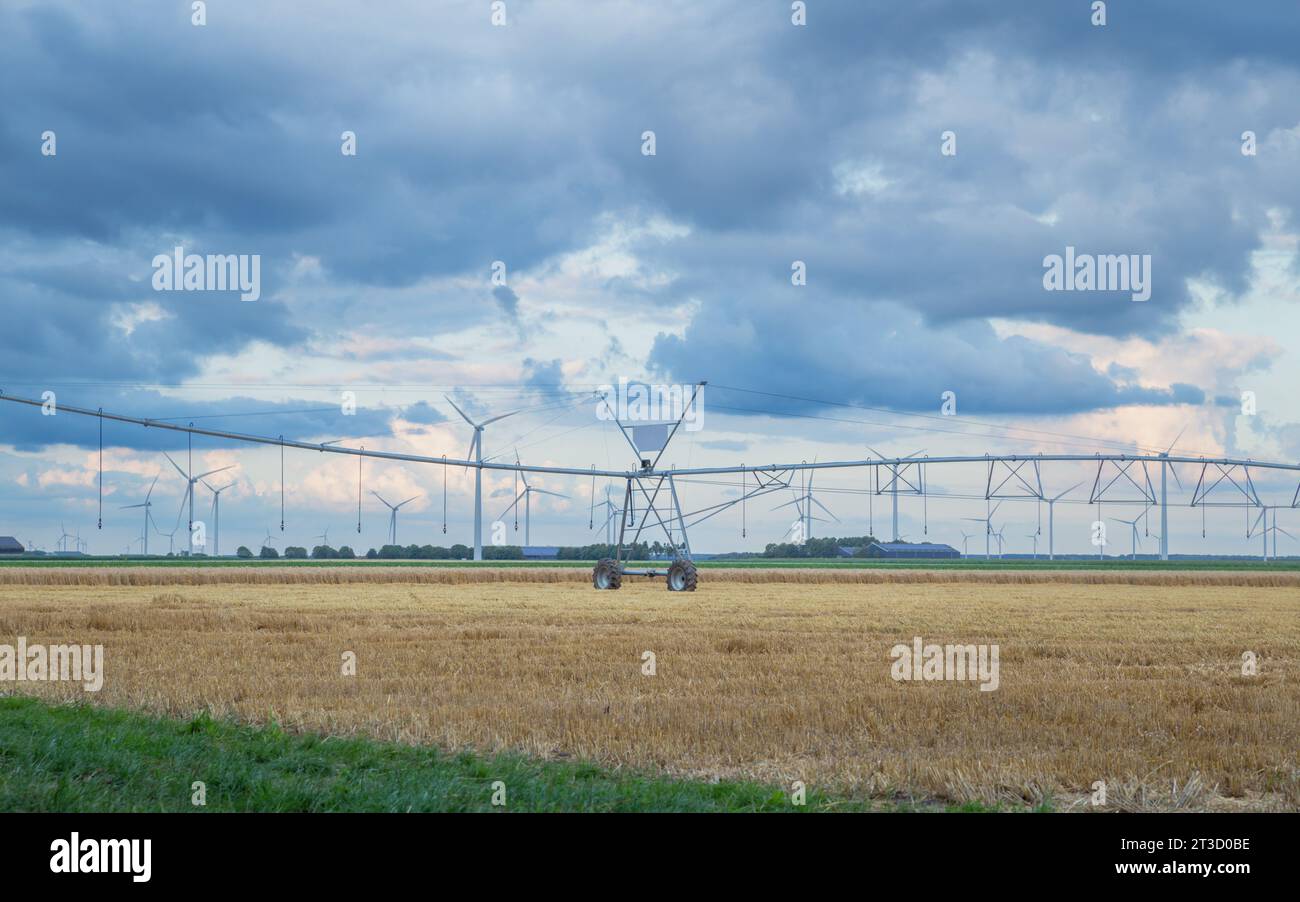 Bewässerungssystem mit Windkraftanlage auf den landwirtschaftlichen Flächen in den Niederlanden Stockfoto
