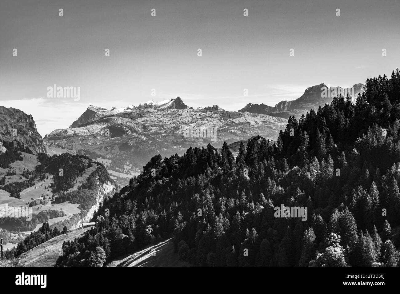 Alpenberge, Stoos, Schwyz, Schweiz Stockfoto