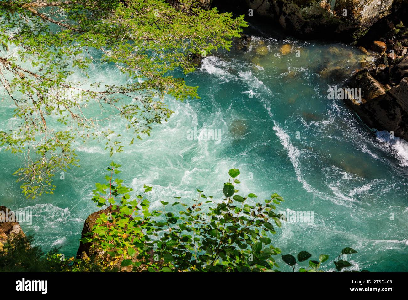 Rauschende Gewässer des Cheakamus River im Sommer am Stadtrand von Whistler, British Columbia, Kanada. Stockfoto