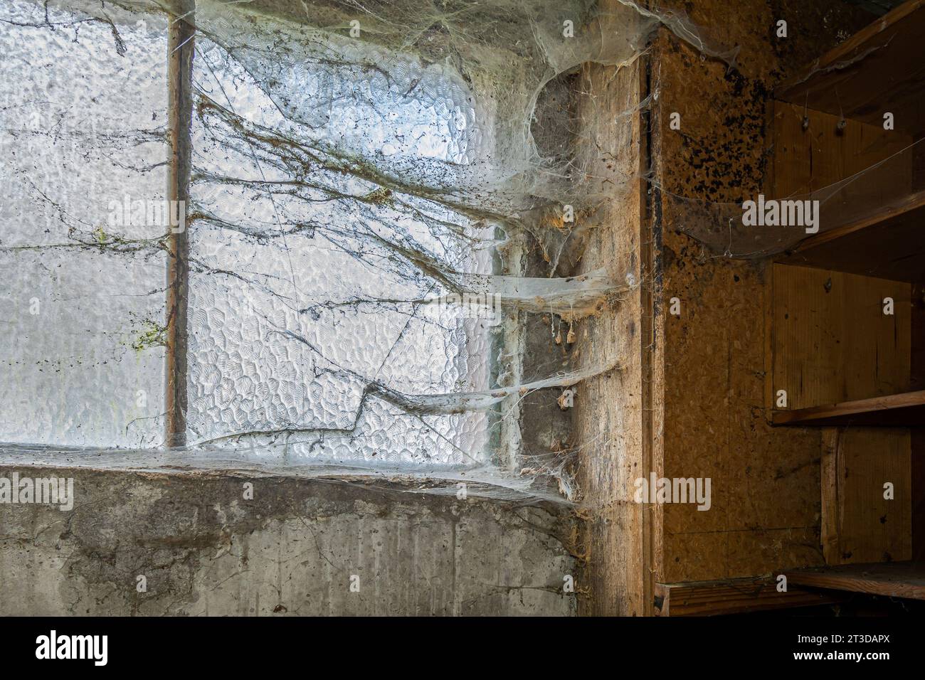 Spinnweben in einem verlassenen Keller Stockfoto