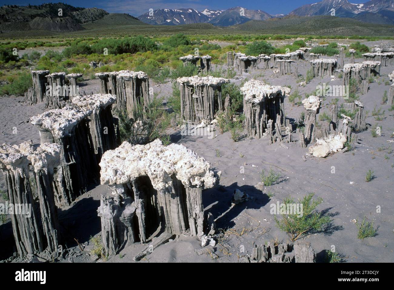 Sand Tuffstein am Mono Lake State Reserve, Mono Basin National Scenic Area, Marine Beach, California Stockfoto