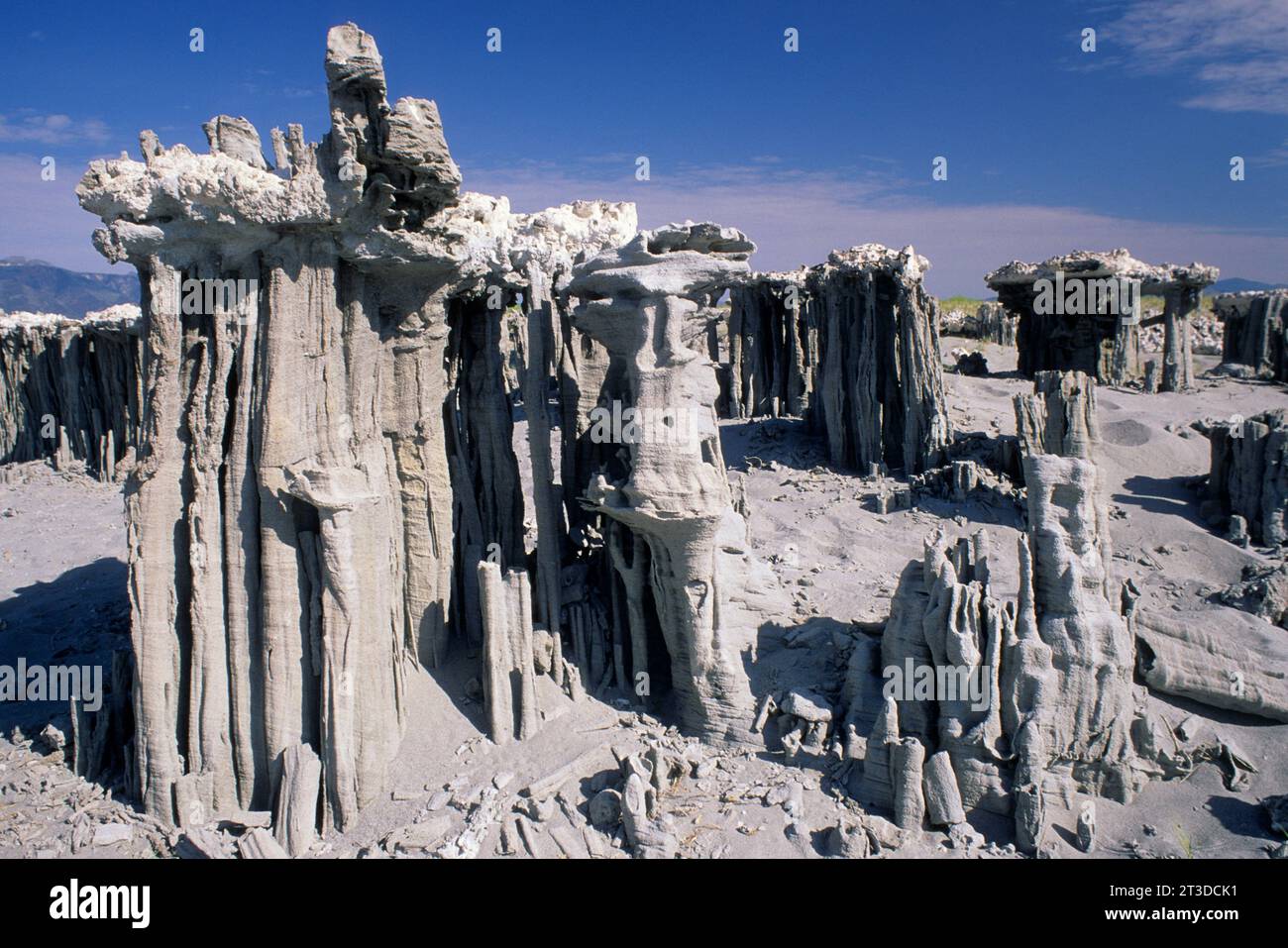 Sand Tuffstein am Mono Lake State Reserve, Mono Basin National Scenic Area, Marine Beach, California Stockfoto