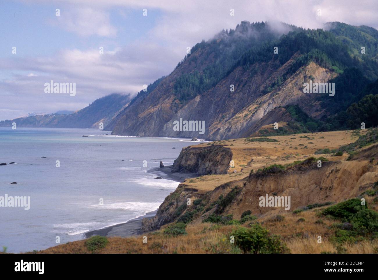 Blick zum Jones Beach & Könige Range, Sinkyone Wildnis State Park, Kalifornien Stockfoto