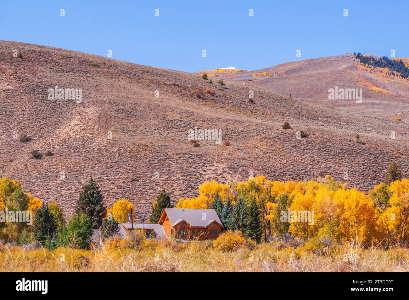 Herbstfarbe entlang des Colorado State Highway 135 zwischen Gunnison und Crested Butte. Stockfoto