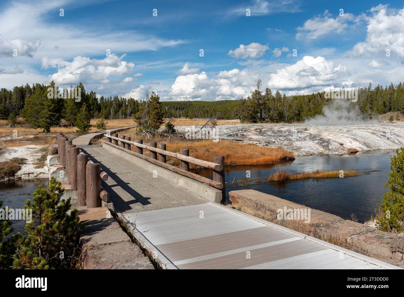 Geyser Basin im Yellowstone-Nationalpark Stockfoto