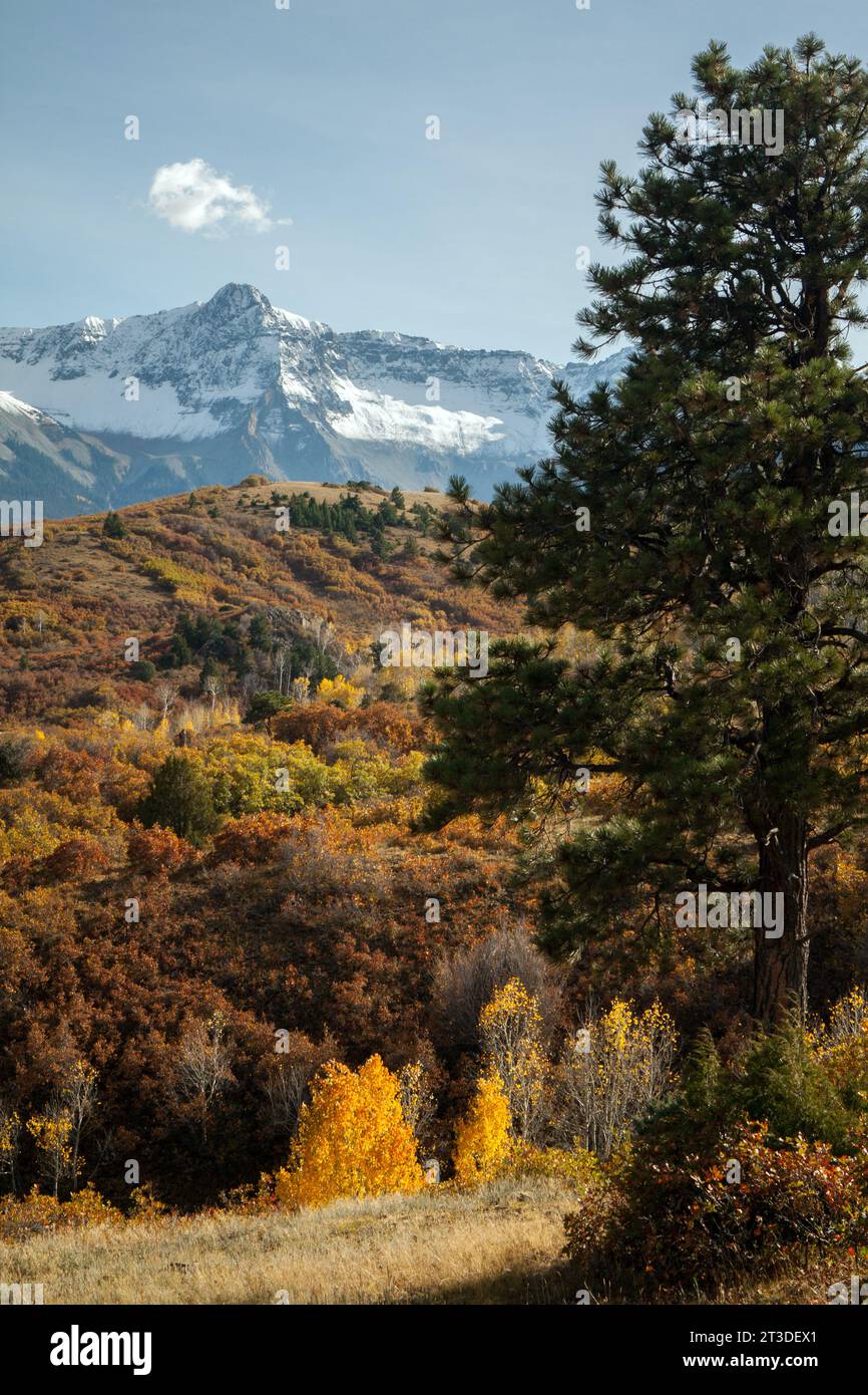 Legendärer Blick in Colorado auf herbstliche Farben mit Mt. Sneffels im Hintergrund Stockfoto